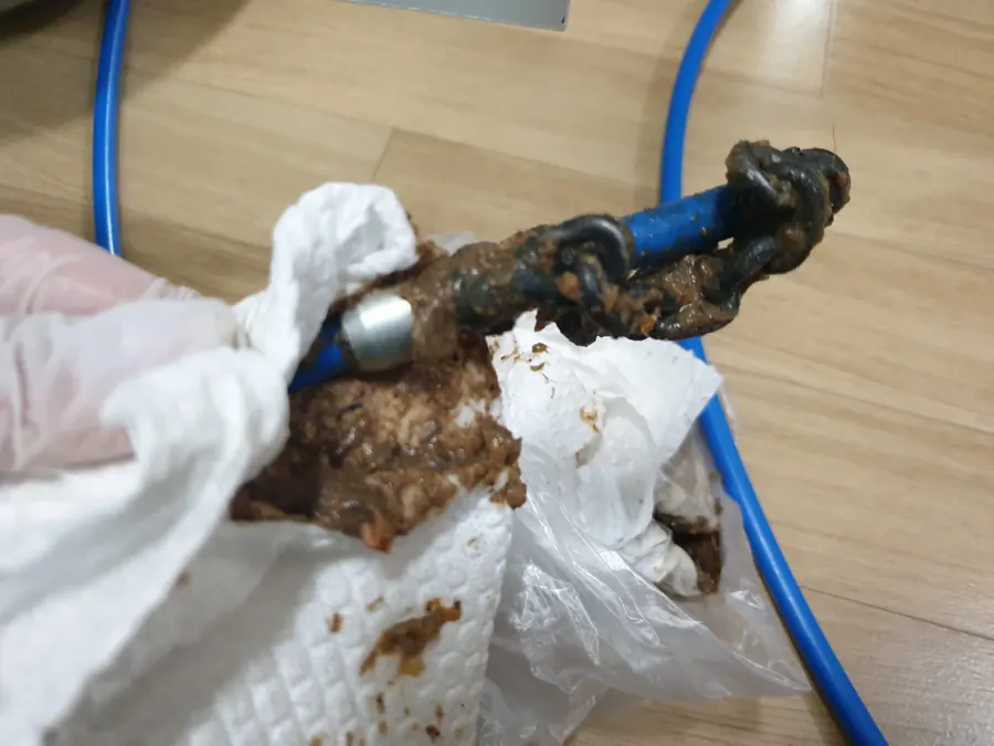 배관에서 확인된 이물질을 꺼낸 모습
